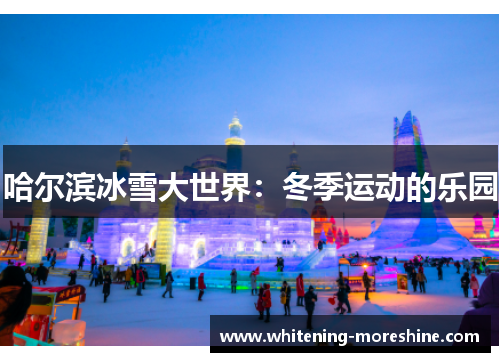 哈尔滨冰雪大世界：冬季运动的乐园